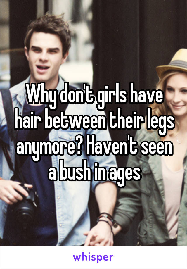 Why don't girls have hair between their legs anymore? Haven't seen a bush in ages