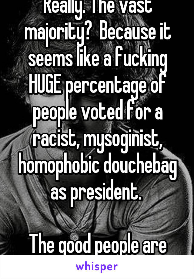 Really. The vast majority?  Because it seems like a fucking HUGE percentage of people voted for a racist, mysoginist, homophobic douchebag as president. 

The good people are the minority. 