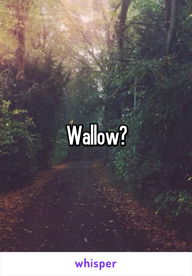 Wallow?