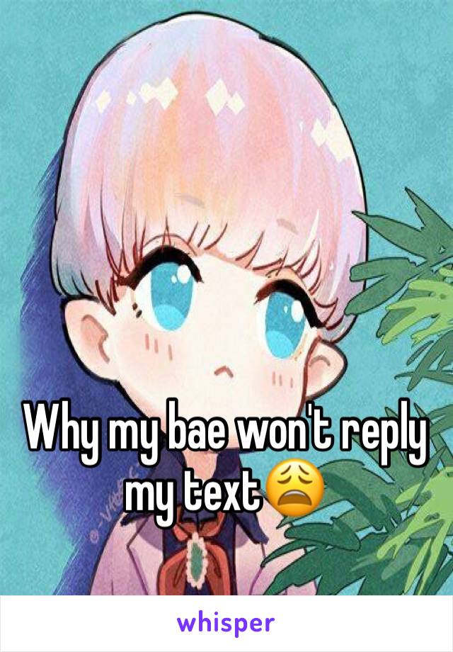 Why my bae won't reply my text😩