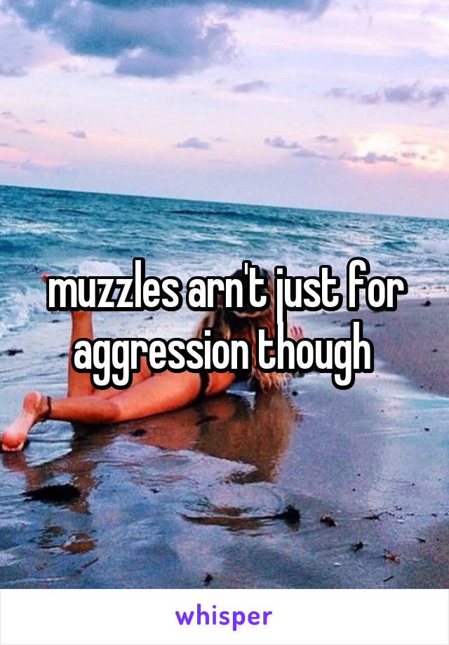 muzzles arn't just for aggression though 