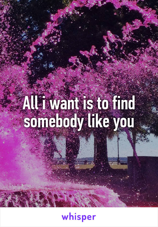 All i want is to find somebody like you