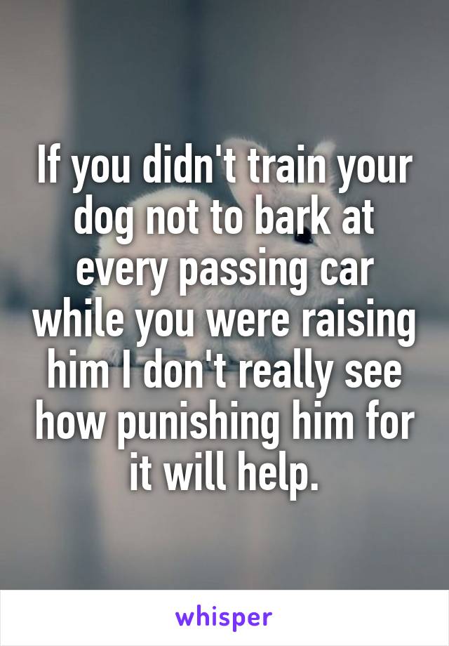 If you didn't train your dog not to bark at every passing car while you were raising him I don't really see how punishing him for it will help.