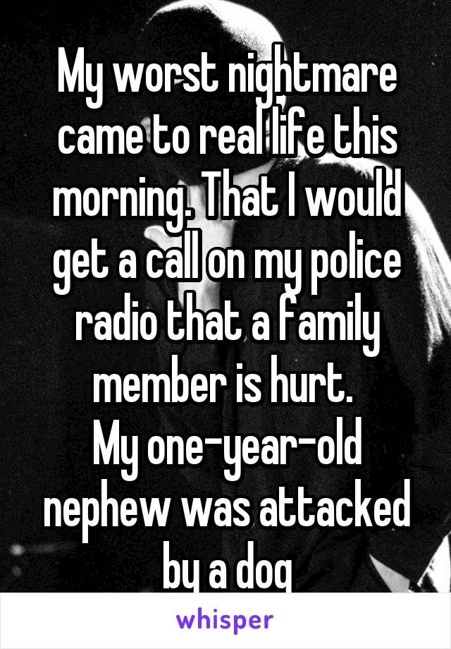 My worst nightmare came to real life this morning. That I would get a call on my police radio that a family member is hurt. 
My one-year-old nephew was attacked by a dog