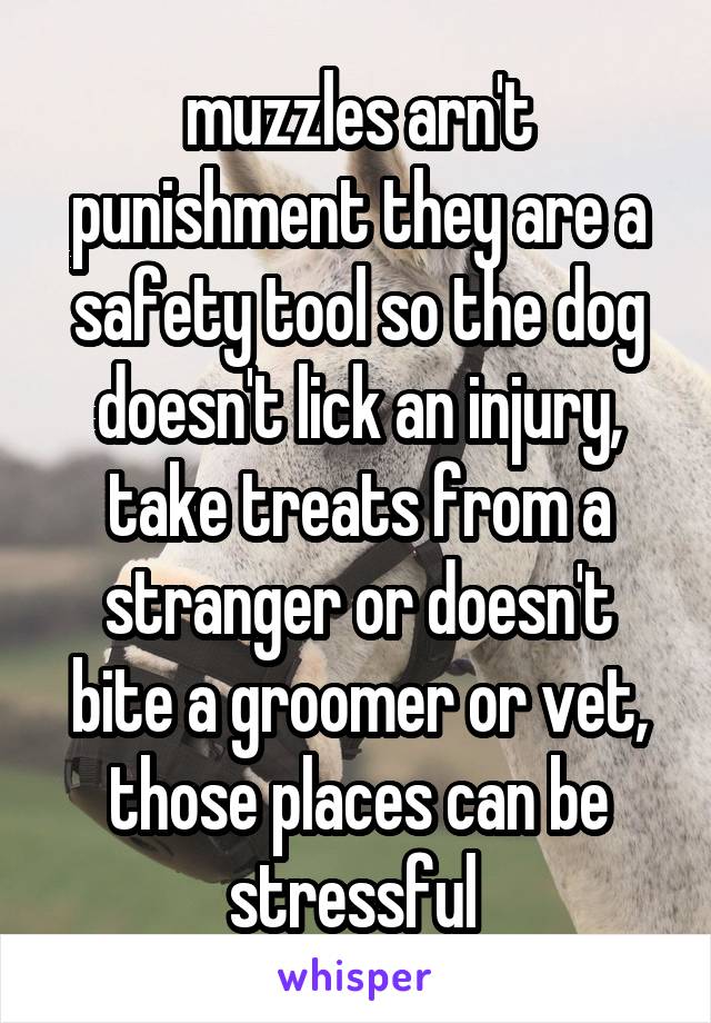 muzzles arn't punishment they are a safety tool so the dog doesn't lick an injury, take treats from a stranger or doesn't bite a groomer or vet, those places can be stressful 