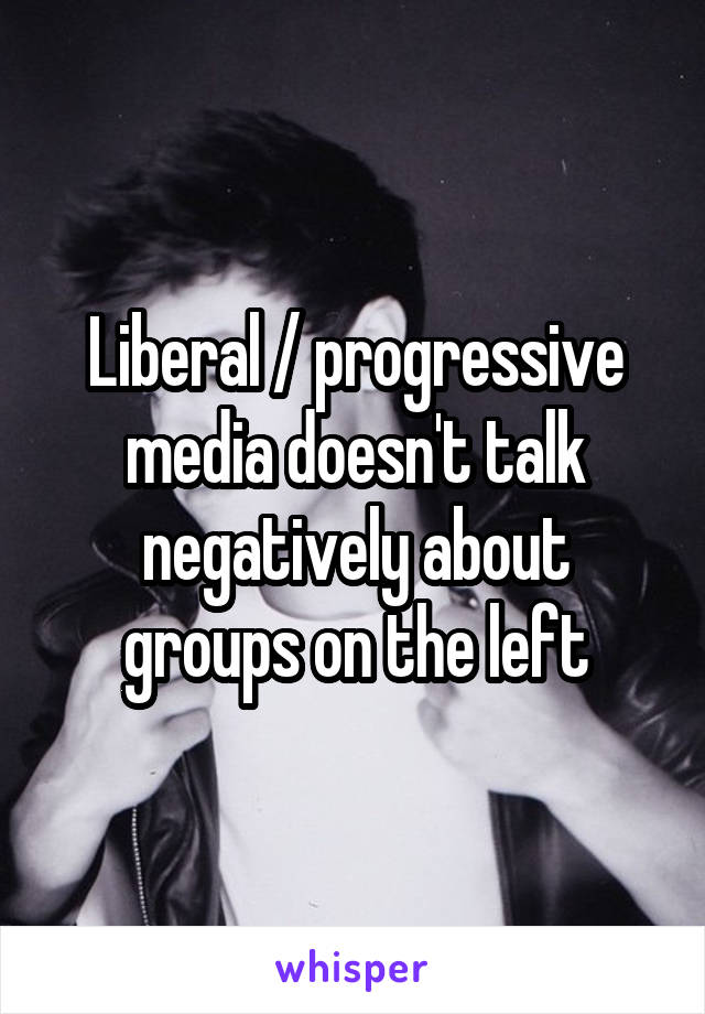 Liberal / progressive media doesn't talk negatively about groups on the left