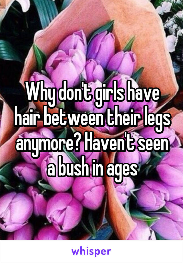 Why don't girls have hair between their legs anymore? Haven't seen a bush in ages