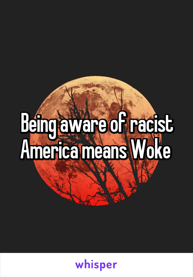 Being aware of racist America means Woke 