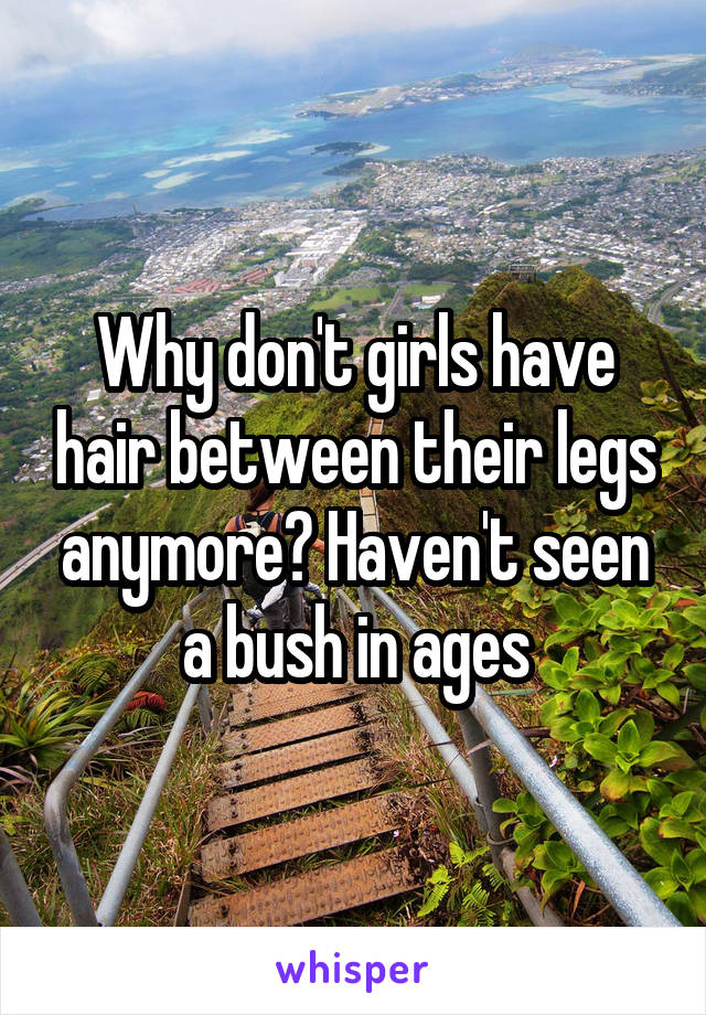 Why don't girls have hair between their legs anymore? Haven't seen a bush in ages