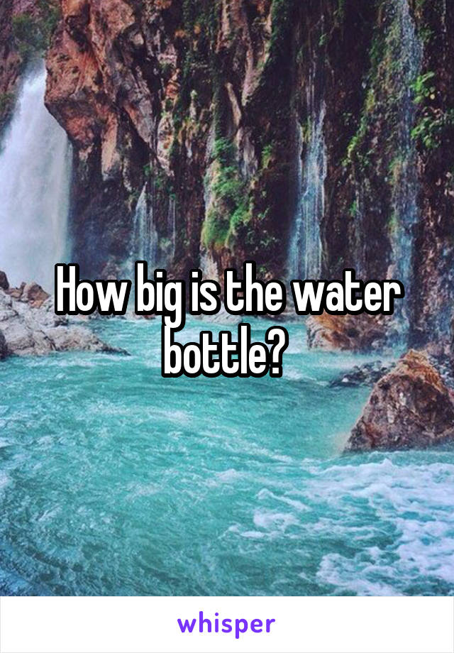 How big is the water bottle? 