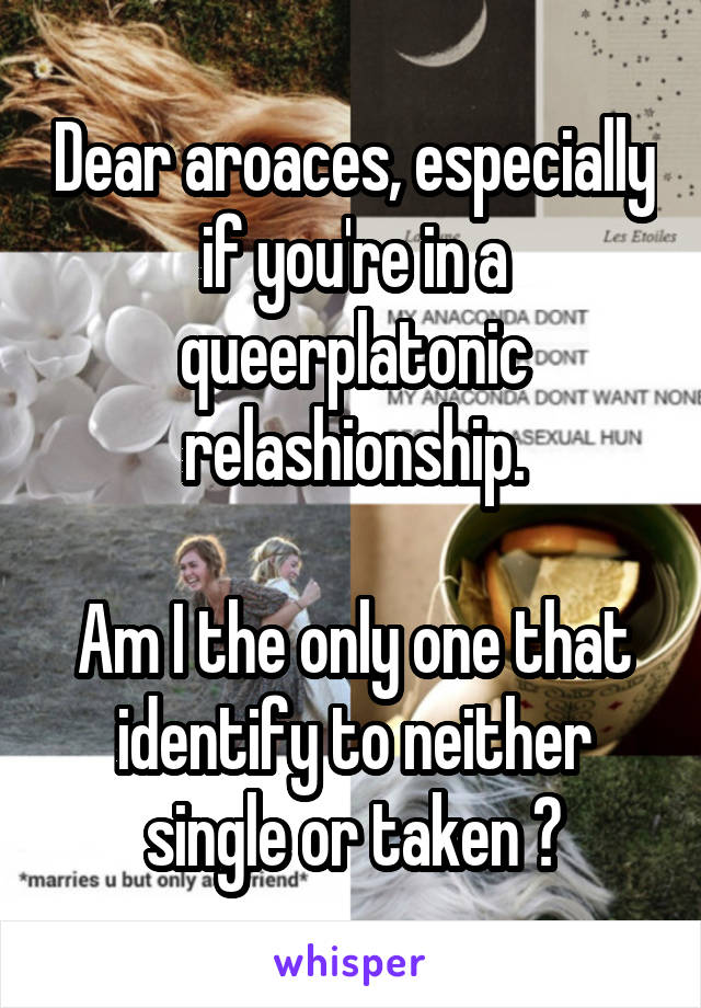 Dear aroaces, especially if you're in a queerplatonic relashionship.

Am I the only one that identify to neither single or taken ?