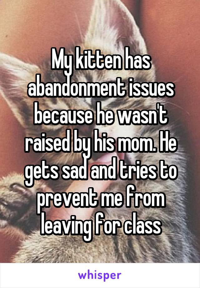 My kitten has abandonment issues because he wasn't raised by his mom. He gets sad and tries to prevent me from leaving for class