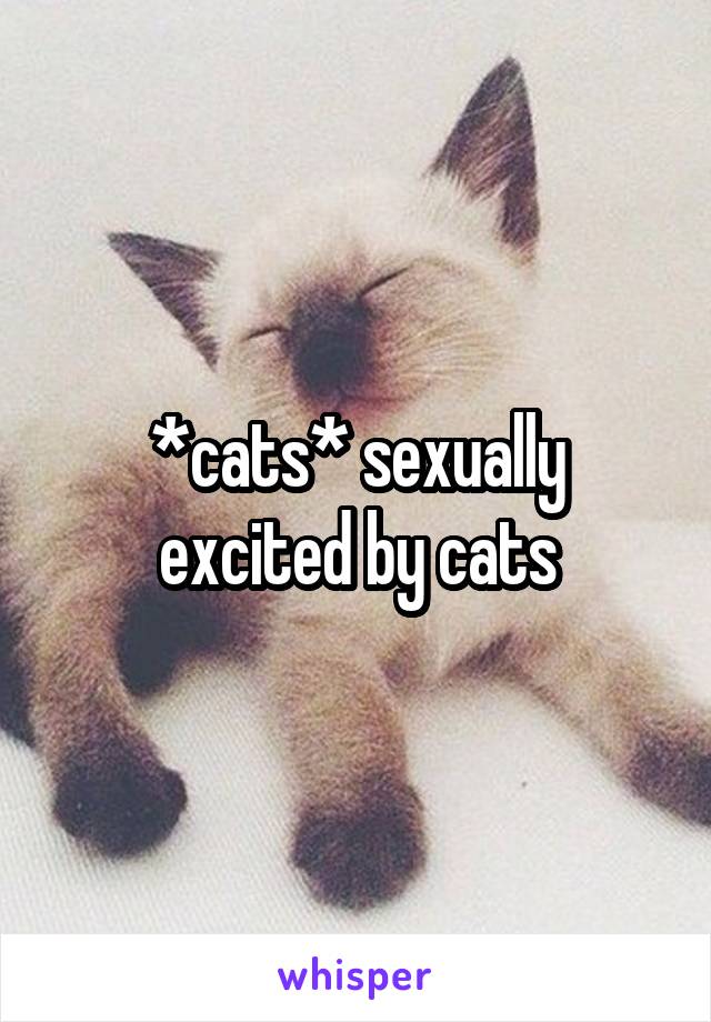 *cats* sexually excited by cats