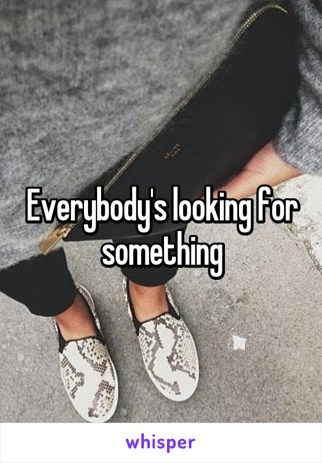 Everybody's looking for something