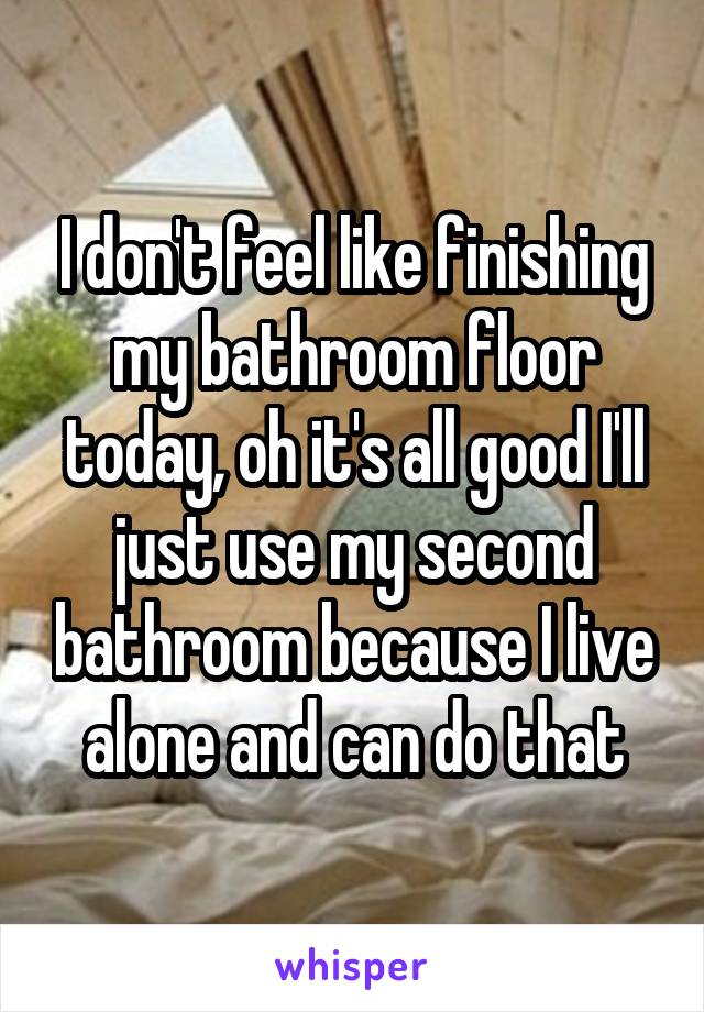 I don't feel like finishing my bathroom floor today, oh it's all good I'll just use my second bathroom because I live alone and can do that