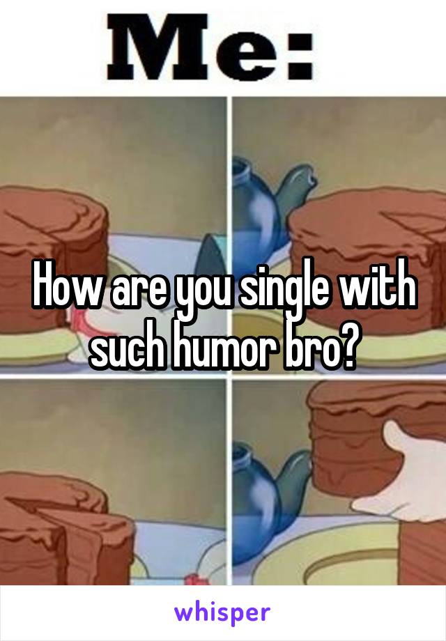 How are you single with such humor bro?