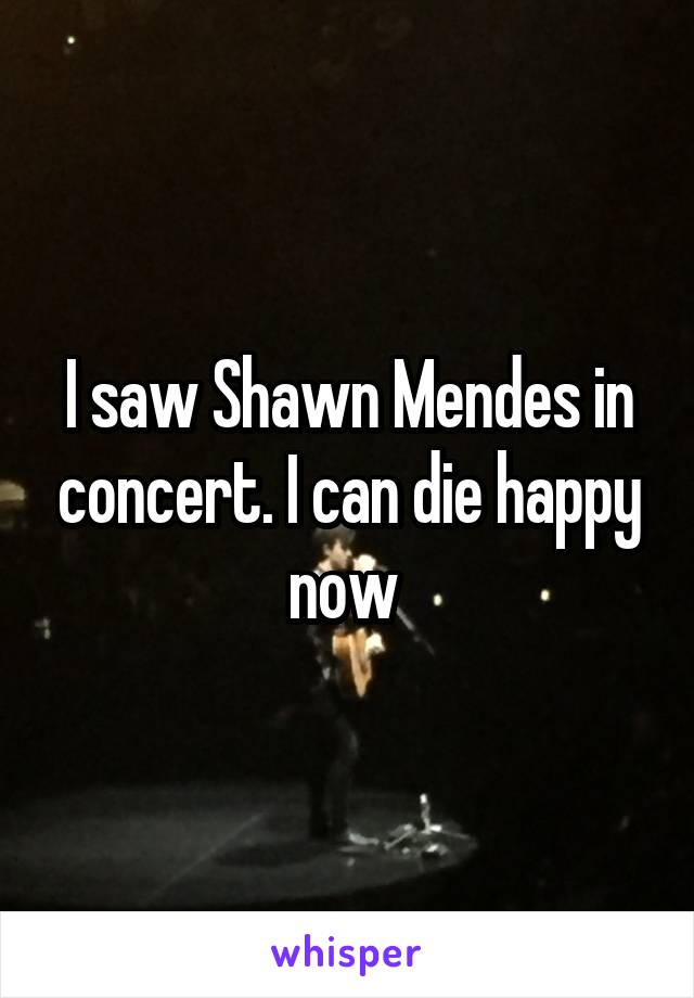 I saw Shawn Mendes in concert. I can die happy now 