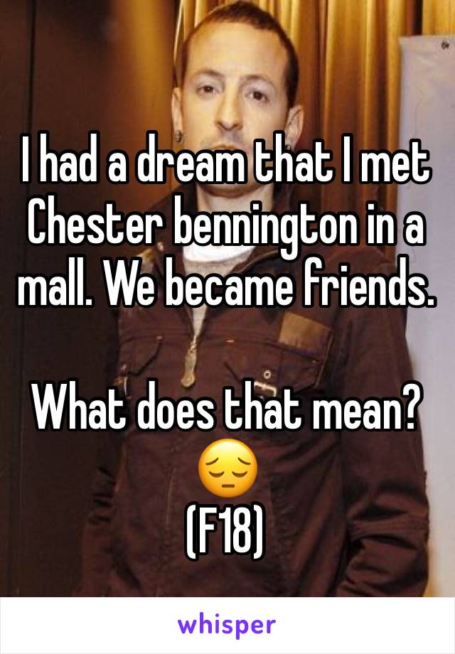 I had a dream that I met Chester bennington in a mall. We became friends.

What does that mean? 😔
(F18)