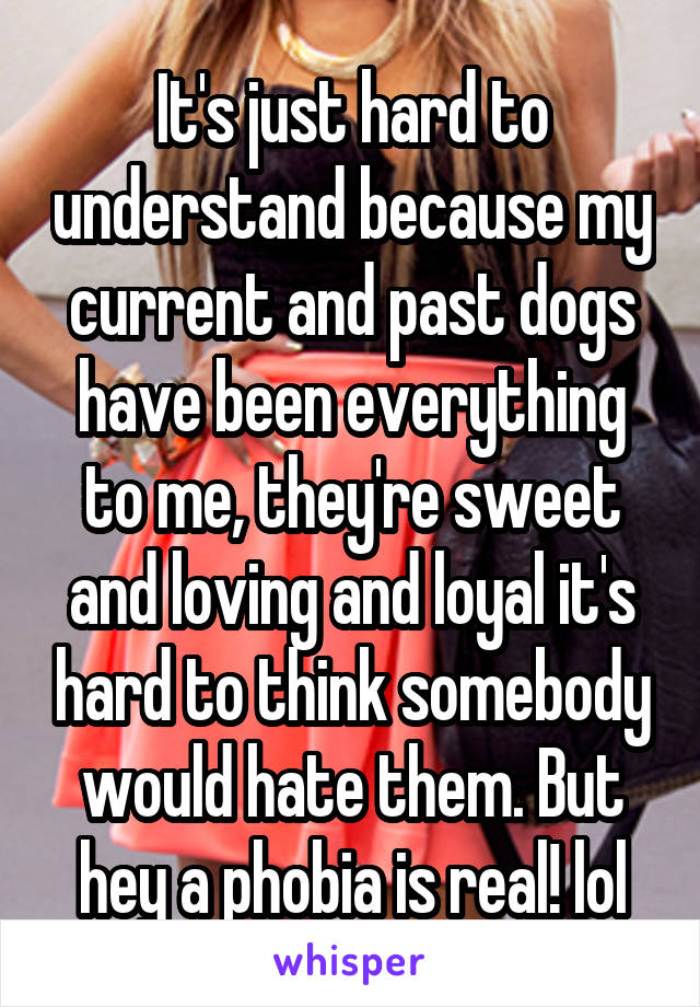 It's just hard to understand because my current and past dogs have been everything to me, they're sweet and loving and loyal it's hard to think somebody would hate them. But hey a phobia is real! lol