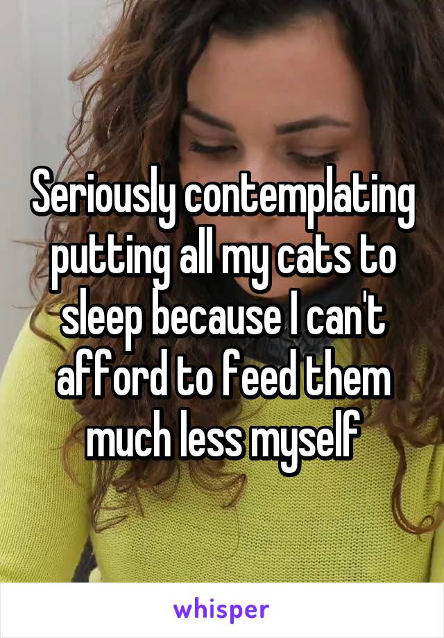 Seriously contemplating putting all my cats to sleep because I can't afford to feed them much less myself