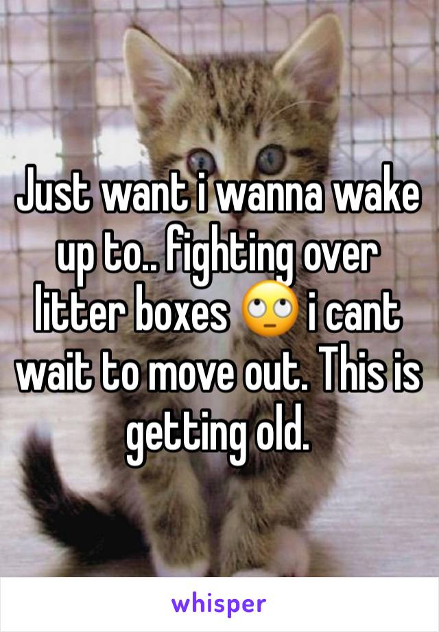 Just want i wanna wake up to.. fighting over litter boxes 🙄 i cant wait to move out. This is getting old.