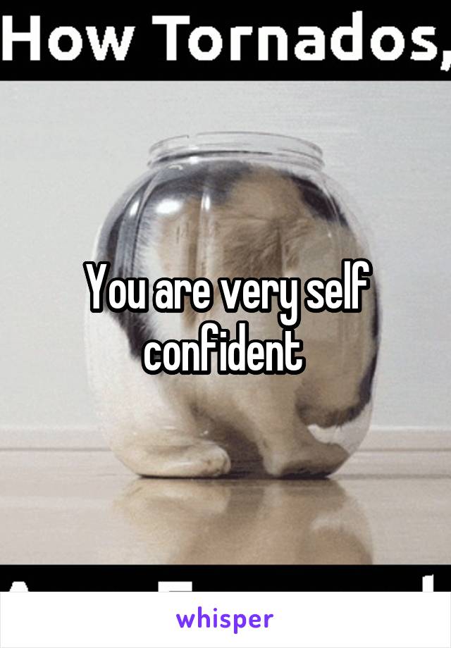 You are very self confident 