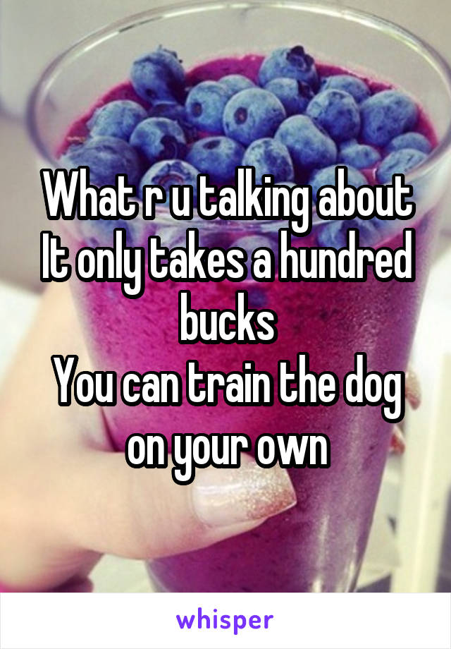 What r u talking about
It only takes a hundred bucks
You can train the dog on your own