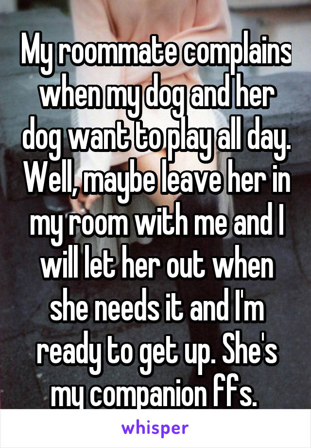 My roommate complains when my dog and her dog want to play all day. Well, maybe leave her in my room with me and I will let her out when she needs it and I'm ready to get up. She's my companion ffs. 