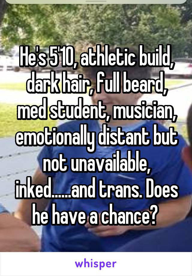 He's 5'10, athletic build, dark hair, full beard, med student, musician, emotionally distant but not unavailable, inked......and trans. Does he have a chance? 