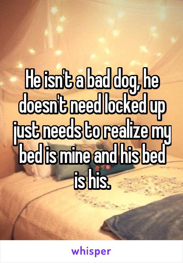 He isn't a bad dog, he doesn't need locked up just needs to realize my bed is mine and his bed is his.