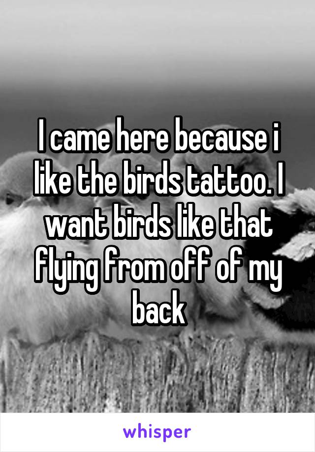 I came here because i like the birds tattoo. I want birds like that flying from off of my back