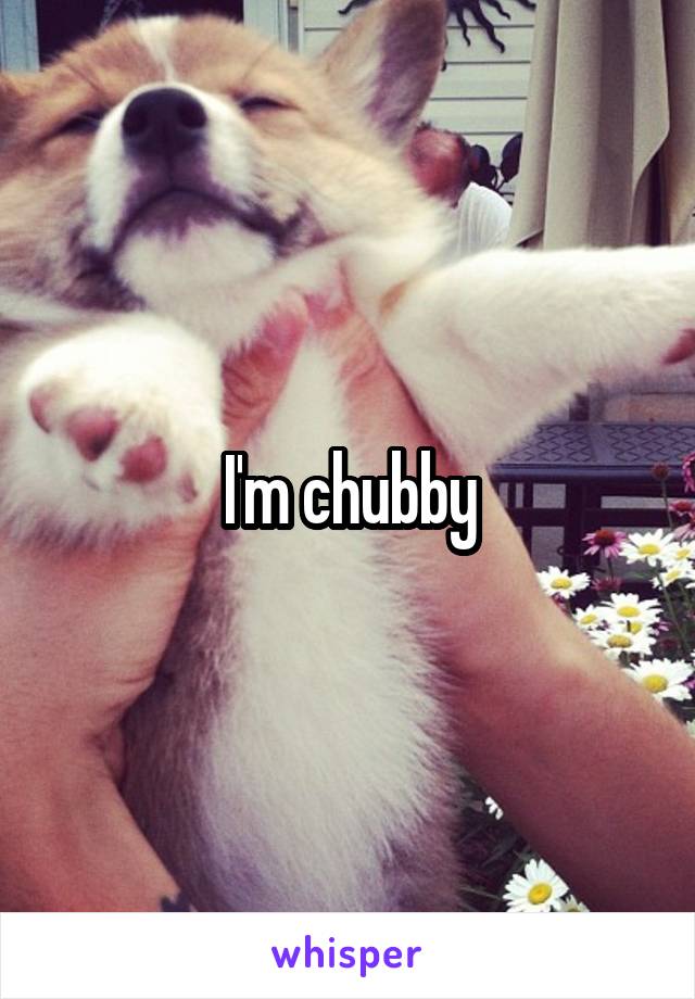 I'm chubby