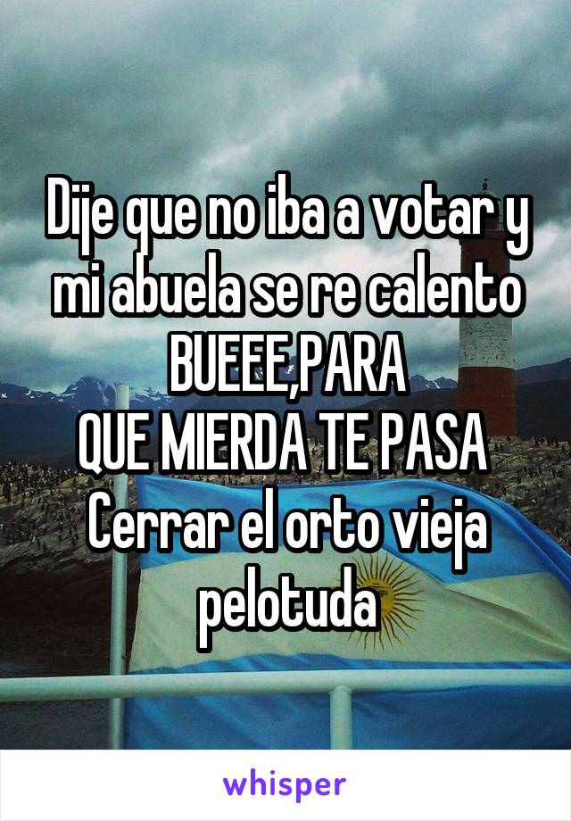 Dije que no iba a votar y mi abuela se re calento
BUEEE,PARA
QUE MIERDA TE PASA 
Cerrar el orto vieja pelotuda