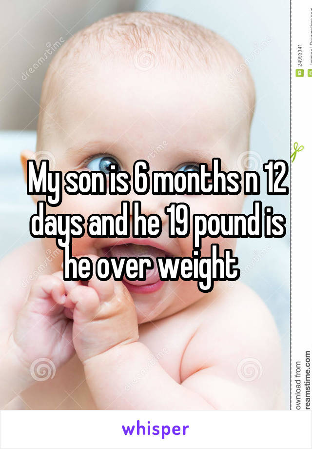 My son is 6 months n 12 days and he 19 pound is he over weight  