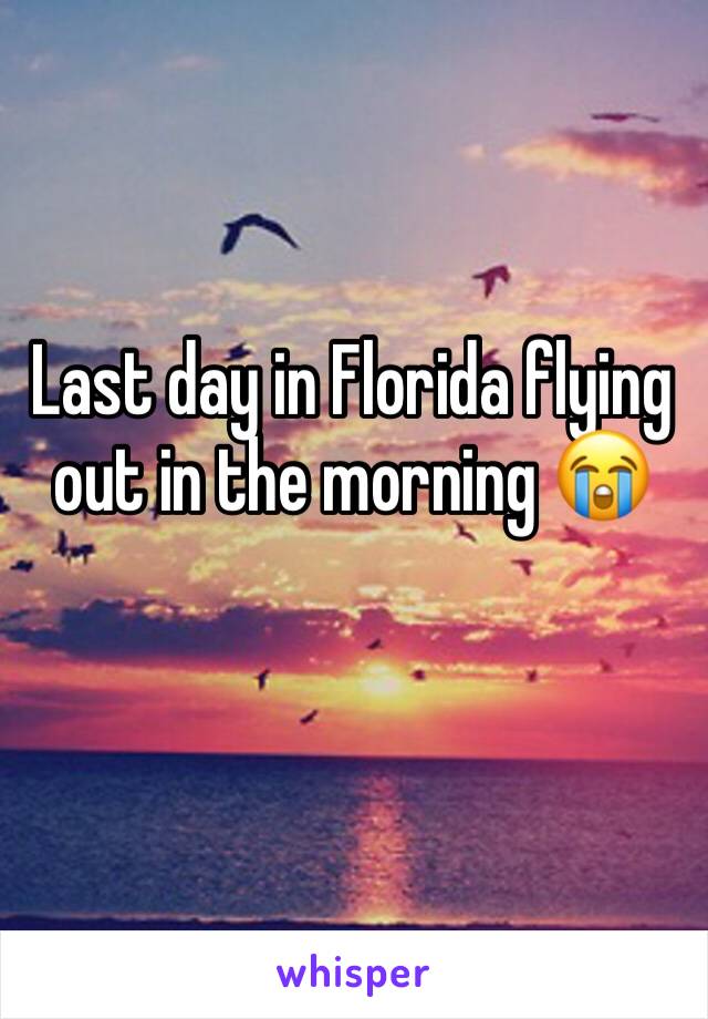 Last day in Florida flying out in the morning 😭