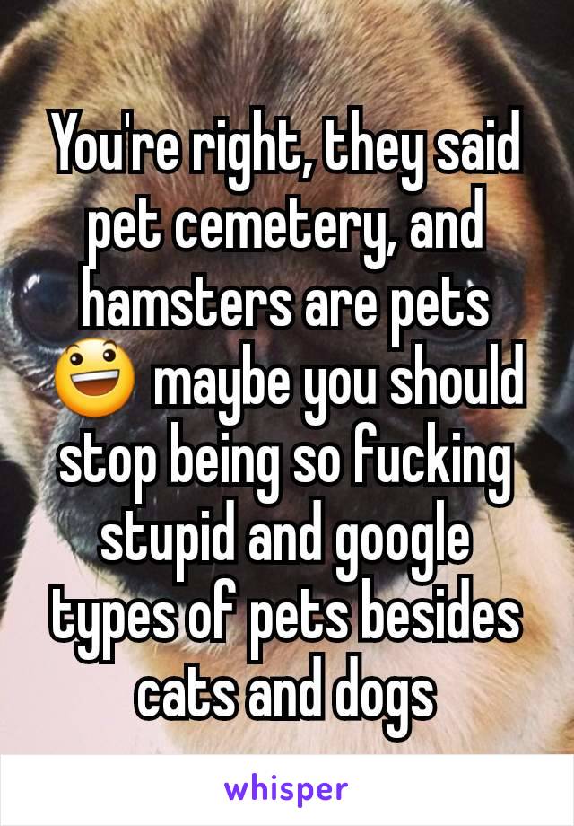 You're right, they said pet cemetery, and hamsters are pets 😃 maybe you should stop being so fucking stupid and google types of pets besides cats and dogs