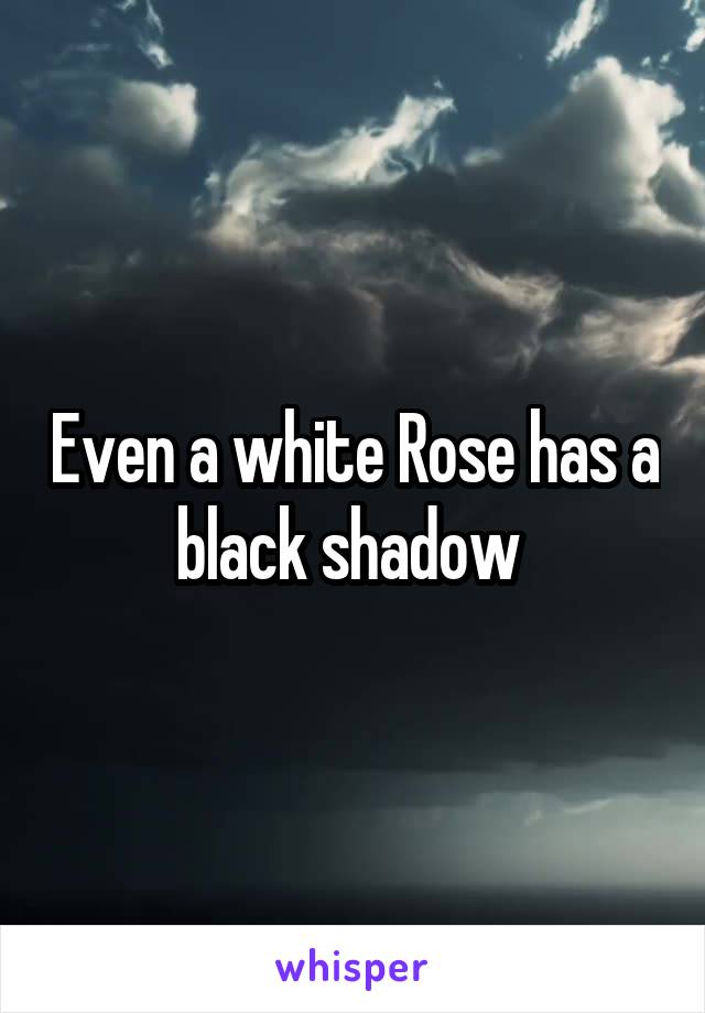 Even a white Rose has a black shadow 