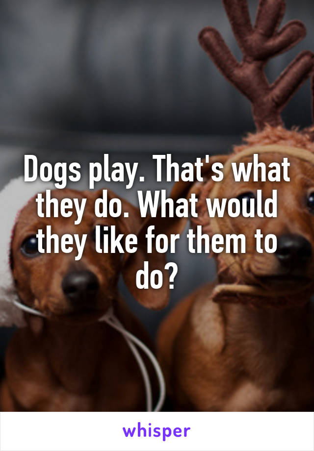 Dogs play. That's what they do. What would they like for them to do?