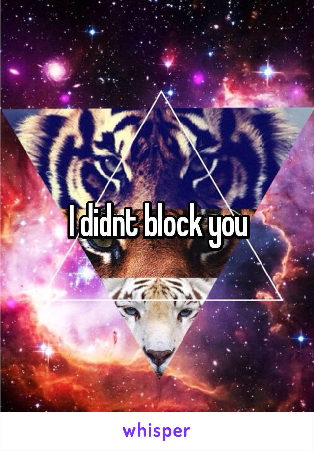 I didnt block you