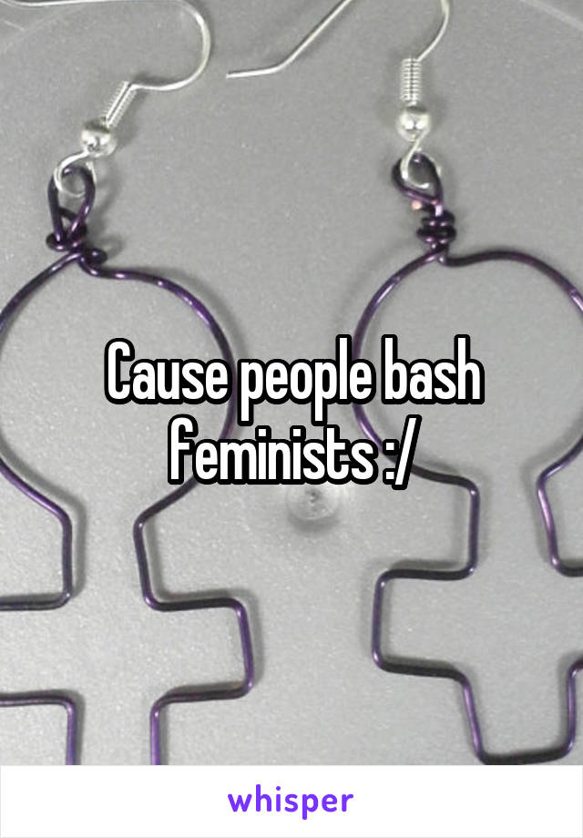 Cause people bash feminists :/