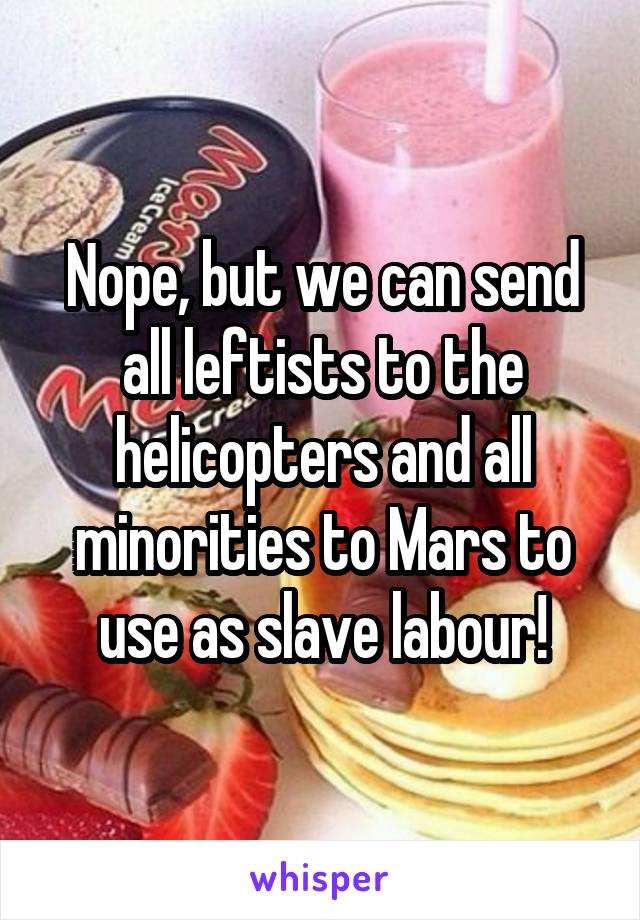 Nope, but we can send all leftists to the helicopters and all minorities to Mars to use as slave labour!