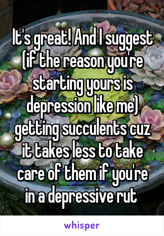 It's great! And I suggest (if the reason you're starting yours is depression like me) getting succulents cuz it takes less to take care of them if you're in a depressive rut 