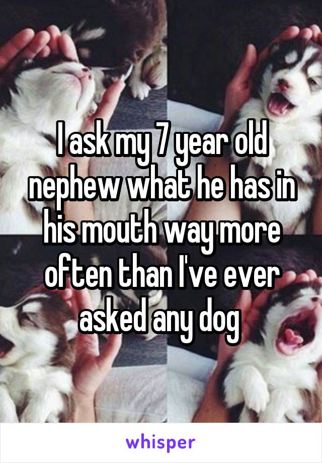 I ask my 7 year old nephew what he has in his mouth way more often than I've ever asked any dog 