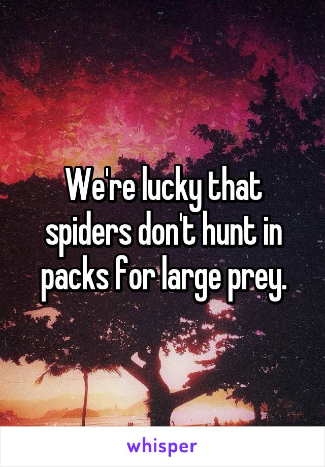 We're lucky that spiders don't hunt in packs for large prey.