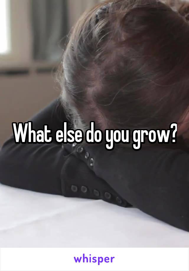 What else do you grow?