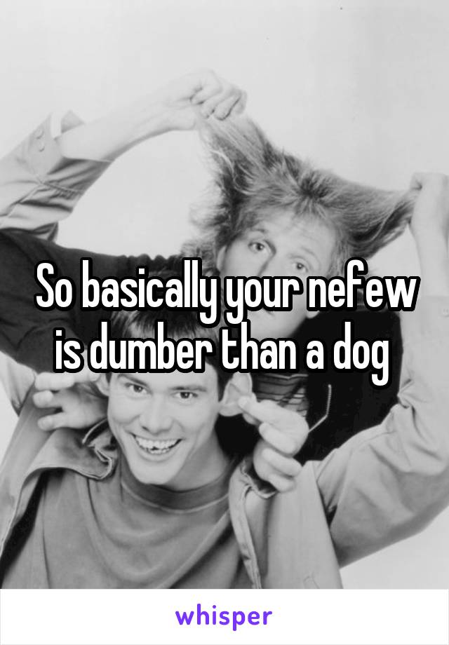 So basically your nefew is dumber than a dog 