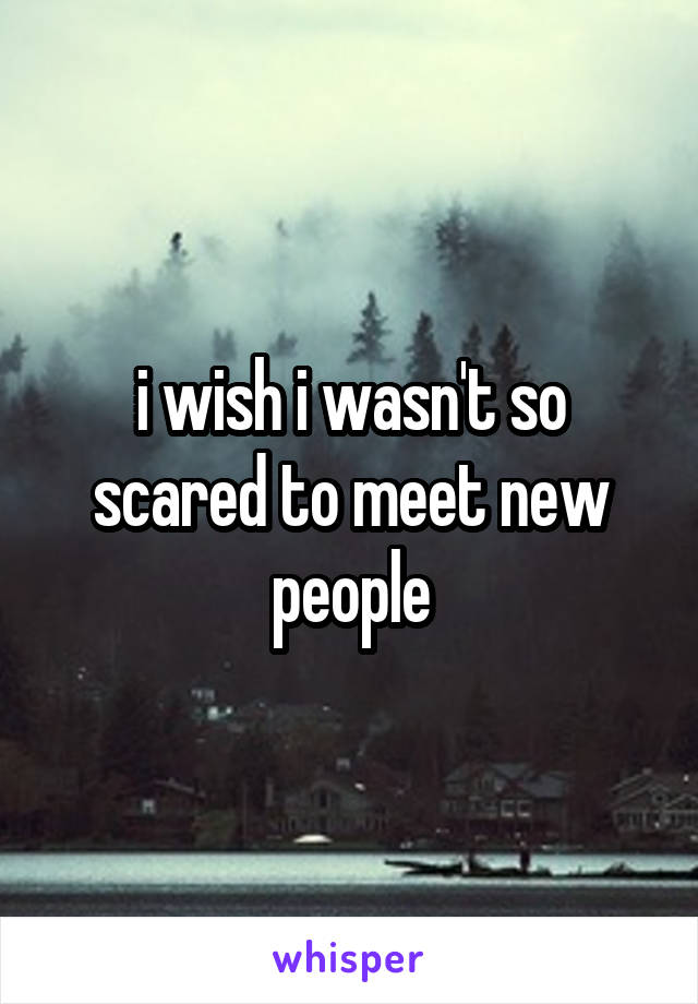 i wish i wasn't so scared to meet new people