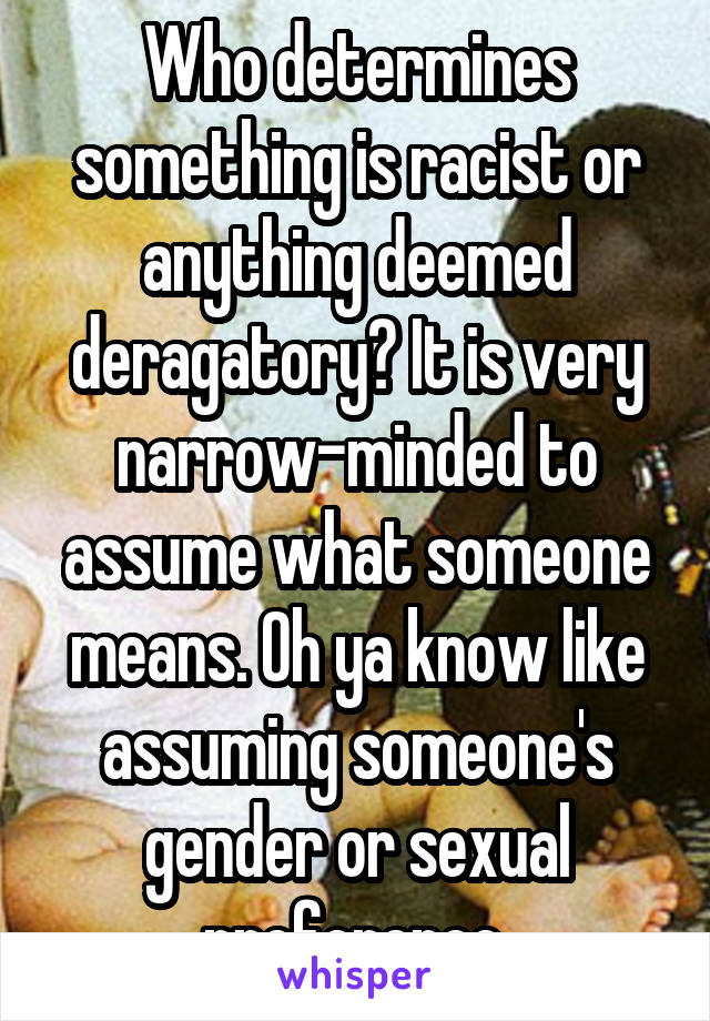 Who determines something is racist or anything deemed deragatory? It is very narrow-minded to assume what someone means. Oh ya know like assuming someone's gender or sexual preference.