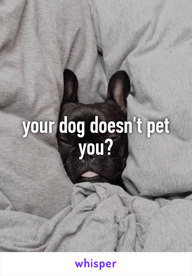 your dog doesn't pet you?