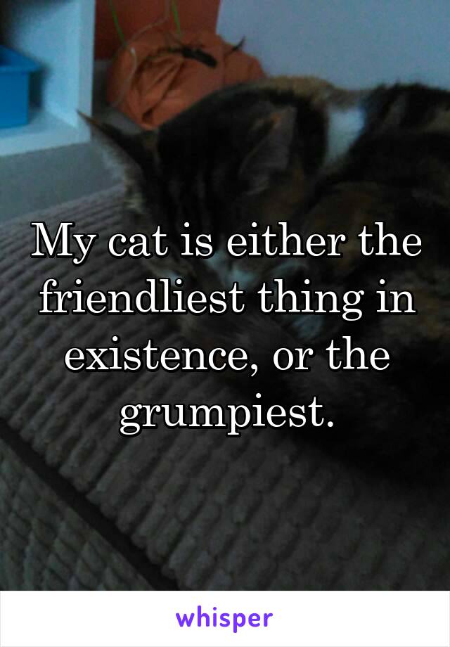 My cat is either the friendliest thing in existence, or the grumpiest.